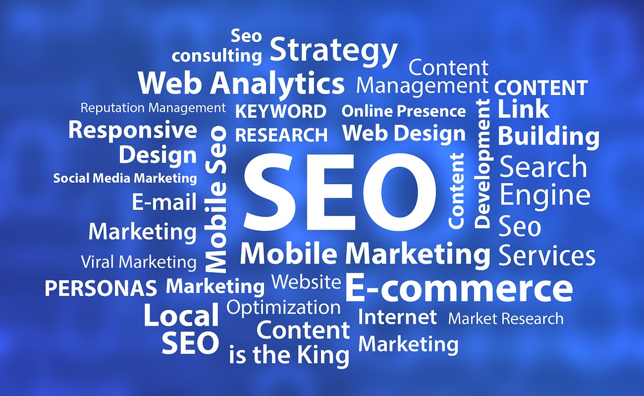 SEO Agency in India