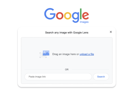 Google Reverse Video Search